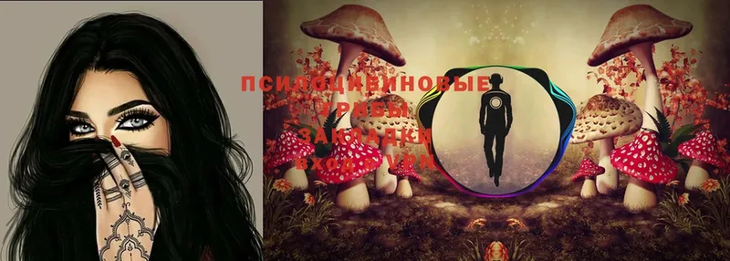 Псилоцибиновые грибы Psilocybe  Асбест 